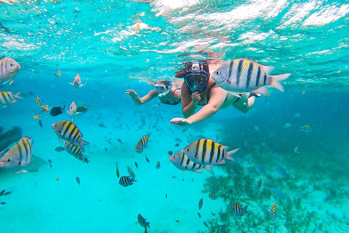 Private Isla Contoy and Isla Mujeres Tour with Snorkeling