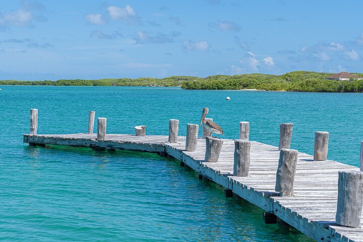 Private Isla Contoy and Isla Mujeres Tour with Snorkeling