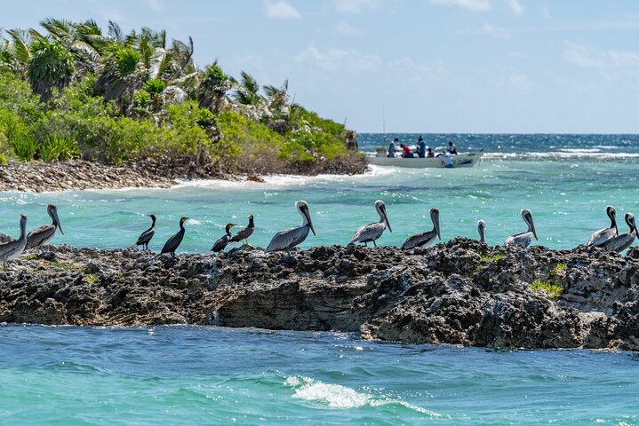 Private Isla Contoy and Isla Mujeres Tour with Snorkeling