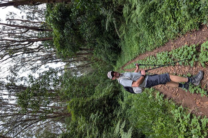 Kilimanjaro one day hike experience by KILITA SAFARIS