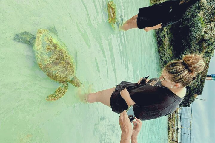 Efate Island Tour – Village, Turtles, Blue Lagoon & Eden River