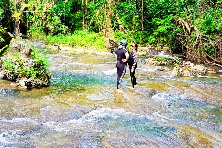 Efate Island Tour – Village, Turtles, Blue Lagoon & Eden River