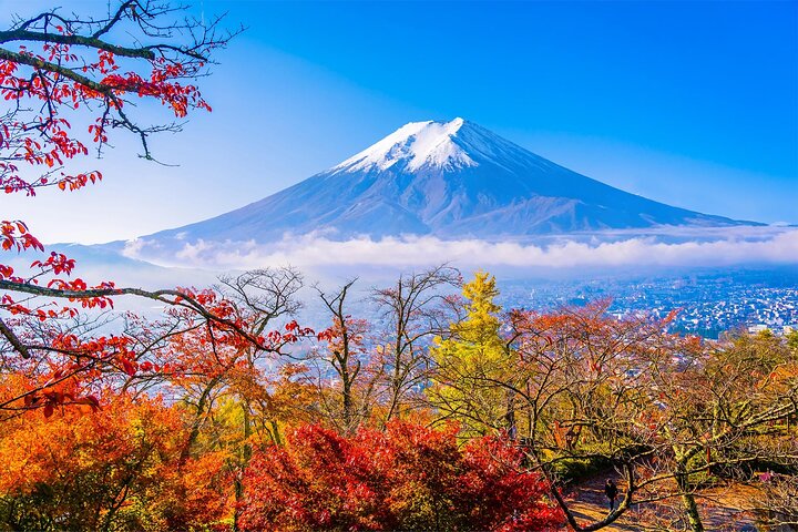 Mount Fuji Full Day Sightseeing Tour from Tokyo