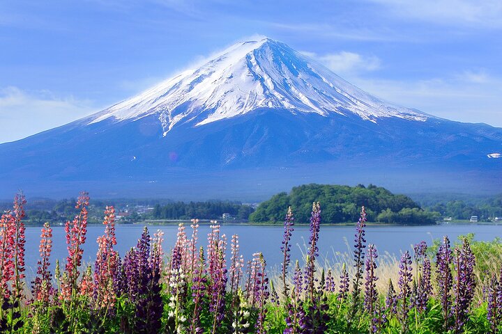 Mount Fuji Full Day Sightseeing Tour from Tokyo
