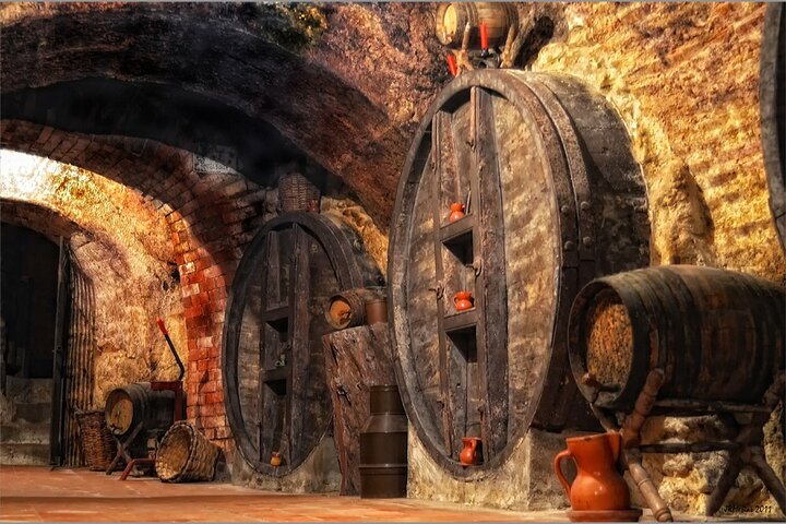 Ribera del Duero Underground Cellar & Wine Tasting Experience