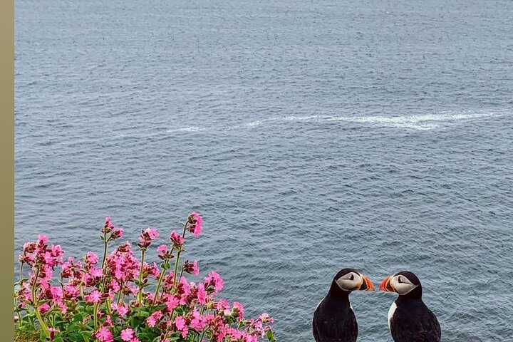 Orkney Island Discovery Tour with Experienced Local Guide