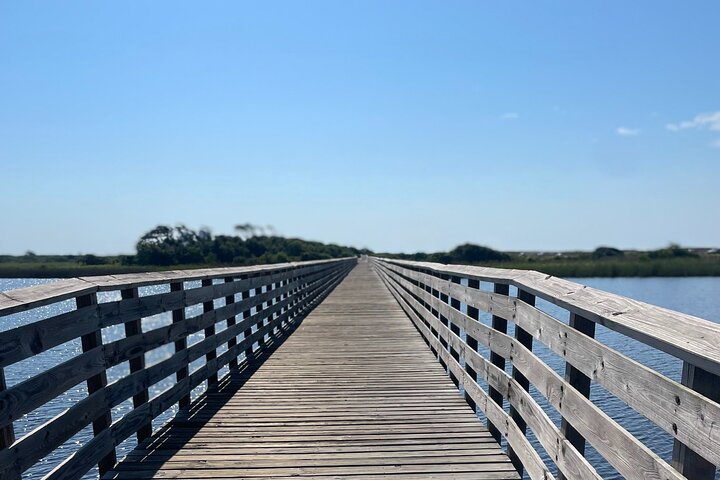 Segway Guided Eco Tour through Gulf State Park