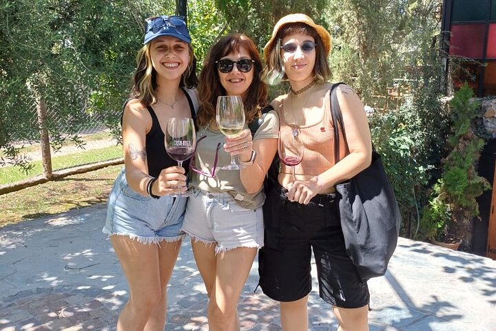 Casa Vigil (the enemy) + 2 wineries + Olivicola