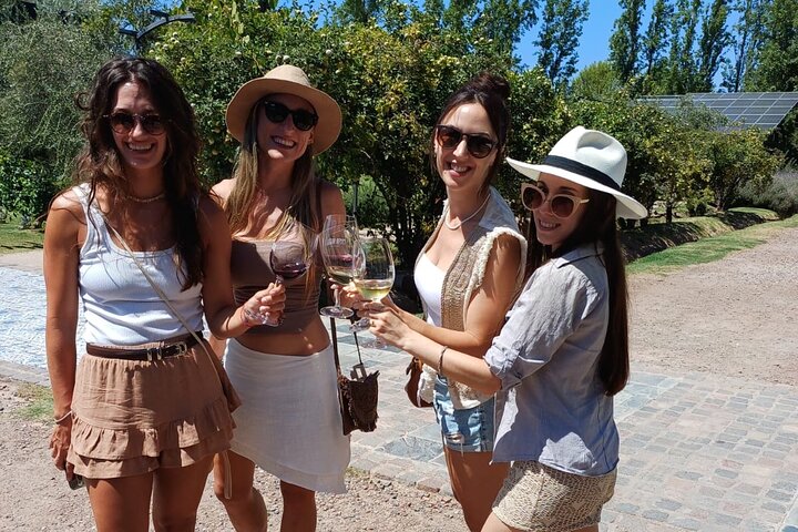 Casa Vigil (the enemy) + 2 wineries + Olivicola