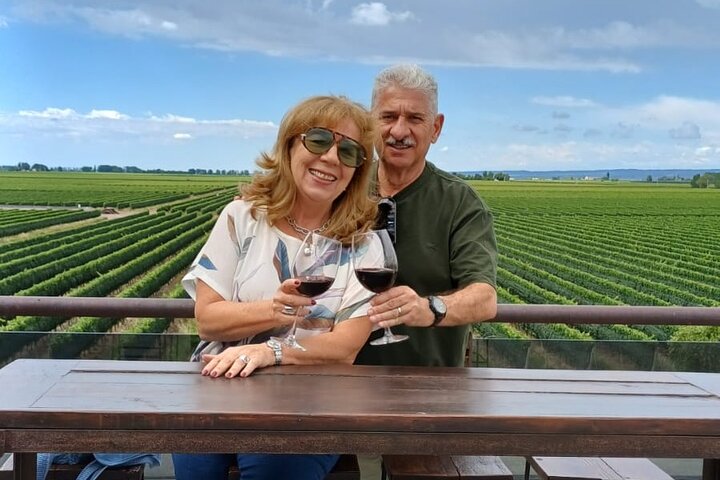 Casa Vigil (the enemy) + 2 wineries + Olivicola
