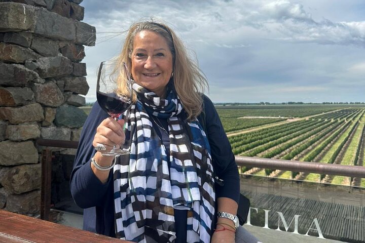 Casa Vigil (the enemy) + 2 wineries + Olivicola