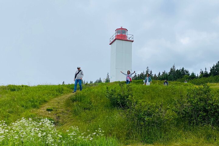 Breathtaking Bay of Fundy Adventure Private Tour