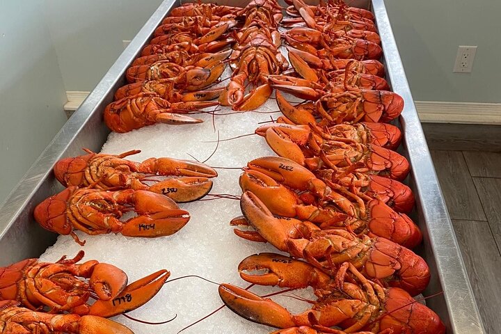 Breathtaking Bay of Fundy Adventure Private Tour