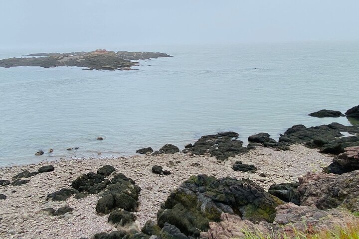 Breathtaking Bay of Fundy Adventure Private Tour