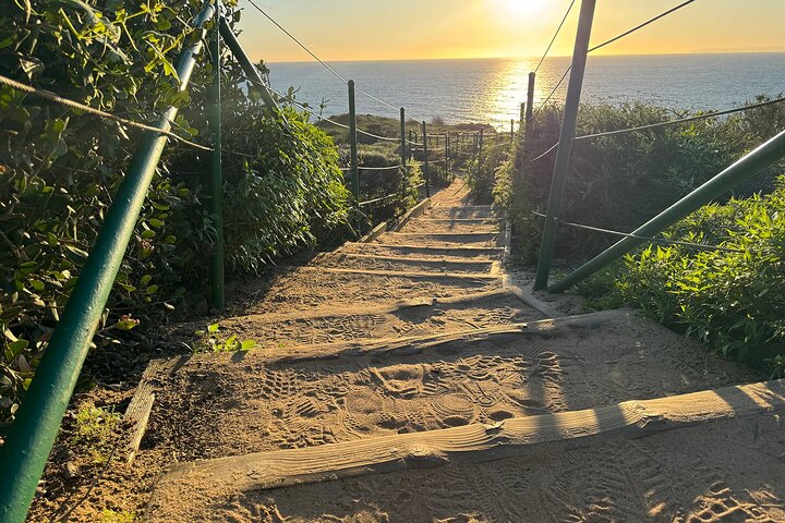 Guided Coastal Hike and Ecology Tour in Dana Point