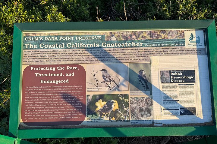 Guided Coastal Hike and Ecology Tour in Dana Point