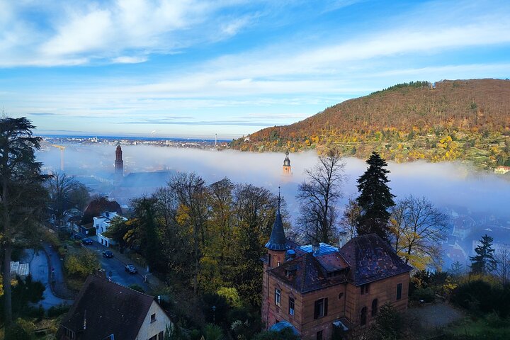 Heidelberg Castle Express Tour with Gardens and Wine Barrel