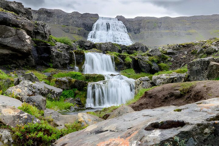 Isafjordur Port: Small Group Dynjandi Waterfall & Farm Visit Tour