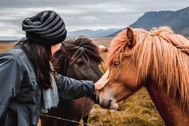 Isafjordur Port: Small Group Dynjandi Waterfall & Farm Visit Tour