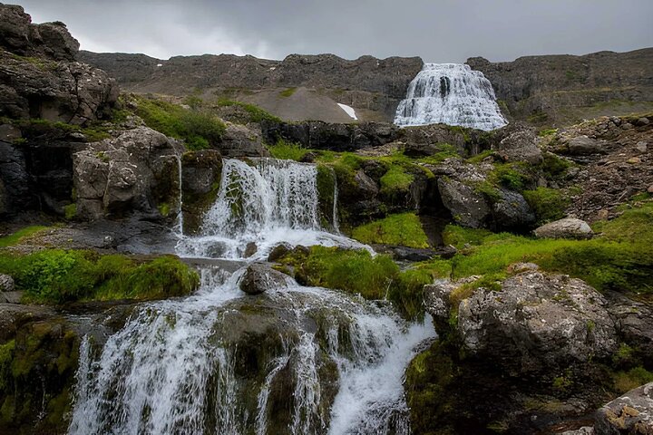Isafjordur Port: Small Group Dynjandi Waterfall & Farm Visit Tour