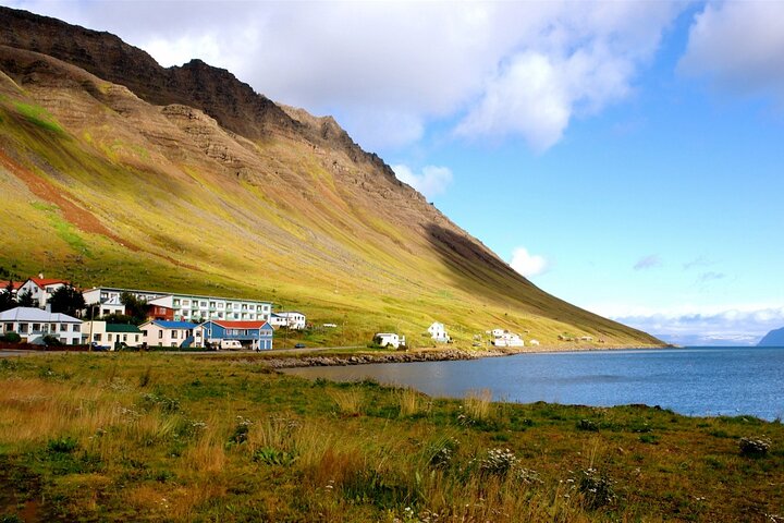 Isafjordur Port: Small Group Dynjandi Waterfall & Farm Visit Tour