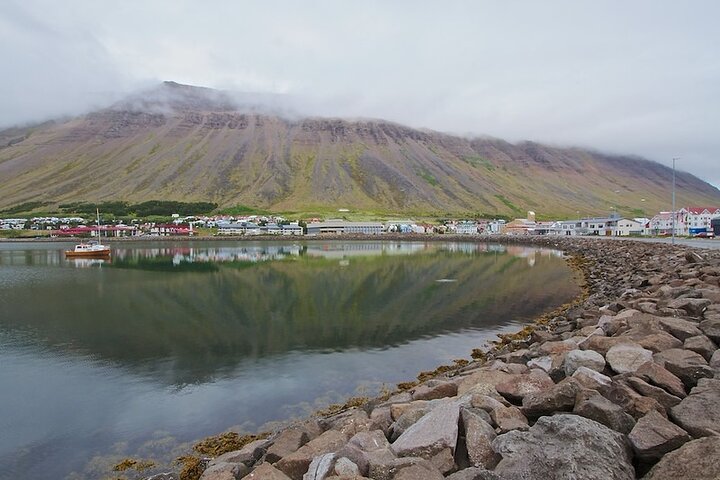 Isafjordur Port: Small Group Dynjandi Waterfall & Farm Visit Tour