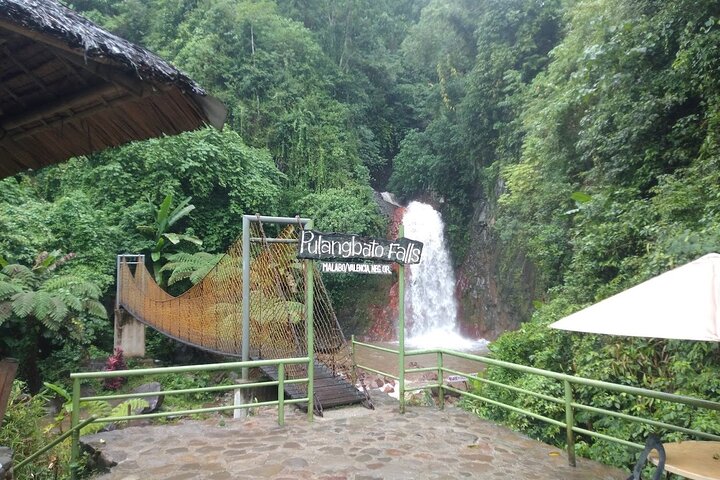 Apo Island and Dumaguete Countryside Tour