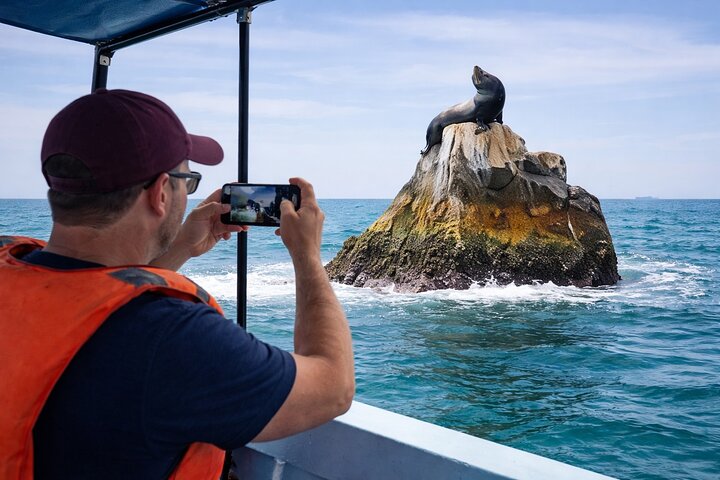 Cabo Boat Ride to El Arco & Lover’s Beach with Swimming