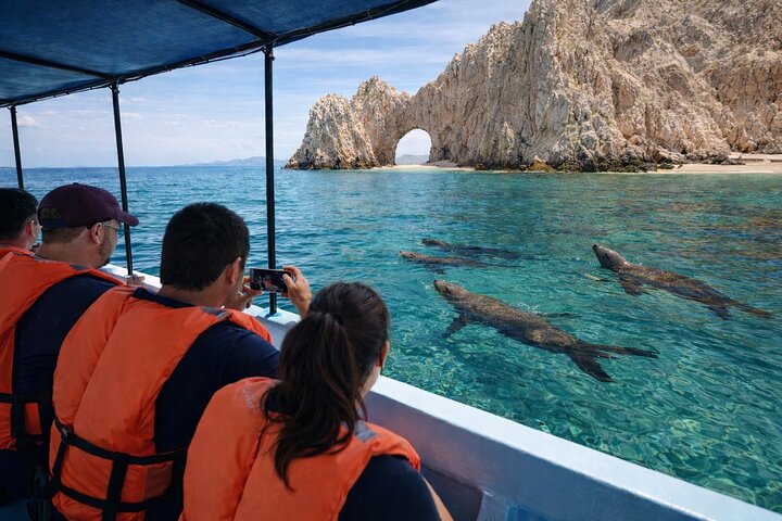 Cabo Boat Ride to El Arco & Lover’s Beach with Swimming