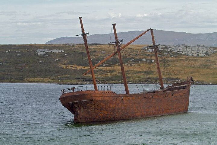 Falkland Islands Wildlife & Stanley Highlights Tour