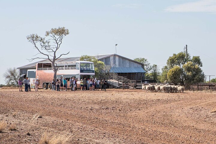 Longreach: Half Day Nogo Station Experience
