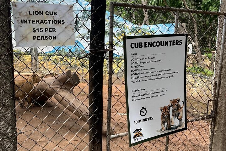 Private Harare Wildlife Tour: Lion Park, Bird park & Snake Park