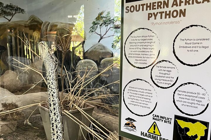 Private Harare Wildlife Tour: Lion Park, Bird park & Snake Park