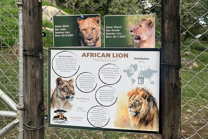 Private Harare Wildlife Tour: Lion Park, Bird park & Snake Park