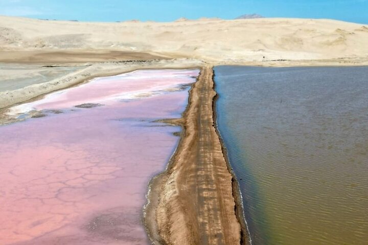 Paracas NationaL Reserve Journey - Scenic Stops at Your own pace