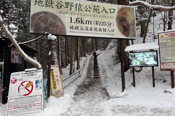 Relaxed Snow Monkeys & Shibu Onsen: Green Season Private Tour