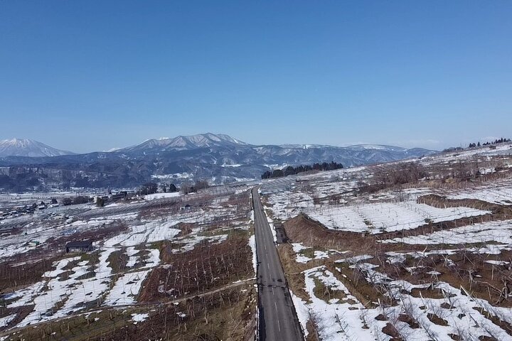Relaxed Snow Monkeys & Shibu Onsen: Green Season Private Tour