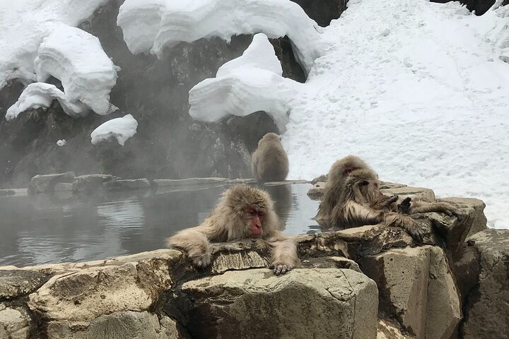 Relaxed Snow Monkeys & Shibu Onsen: Green Season Private Tour