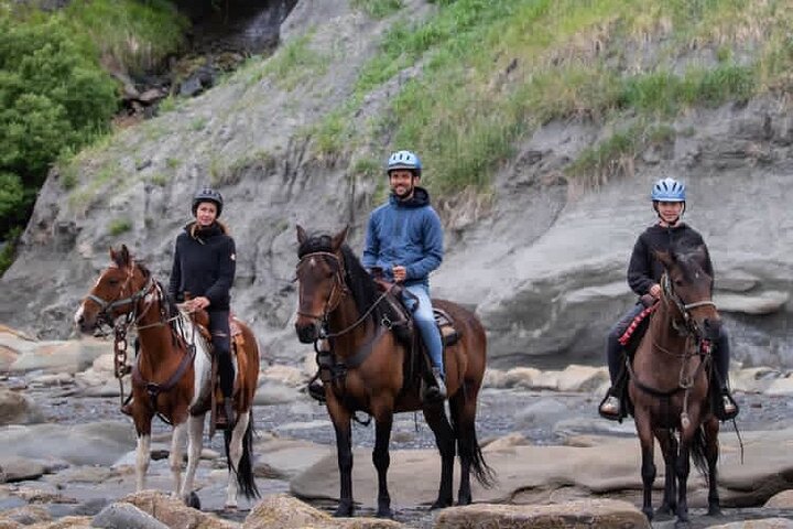 Beach Horse Riding Experience in Homer