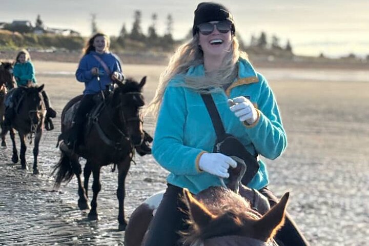 Beach Horse Riding Experience in Homer