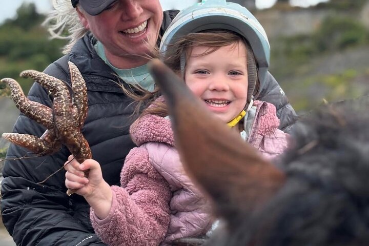 Beach Horse Riding Experience in Homer