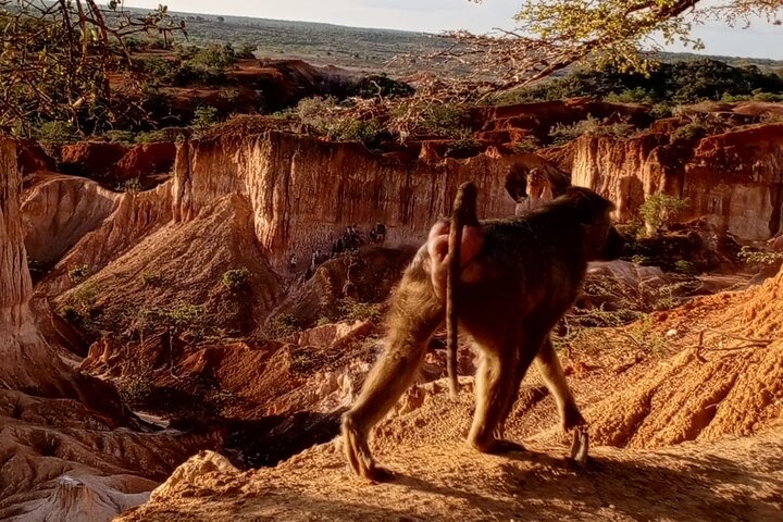 Sand. Canyons. Sunset. Magic. Mambrui & Hell’s Kitchen experience
