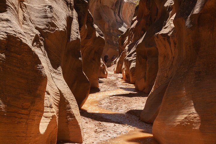 Private Bryce Canyon and Slot Canyon Full Day Hike