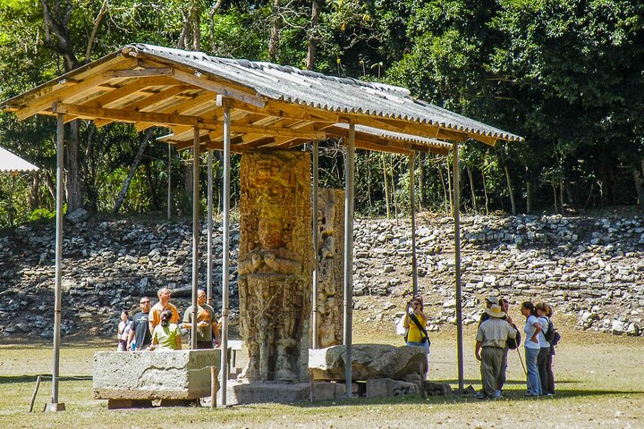 From San Pedro Sula: Mayan Ruins of Copan Day Trip