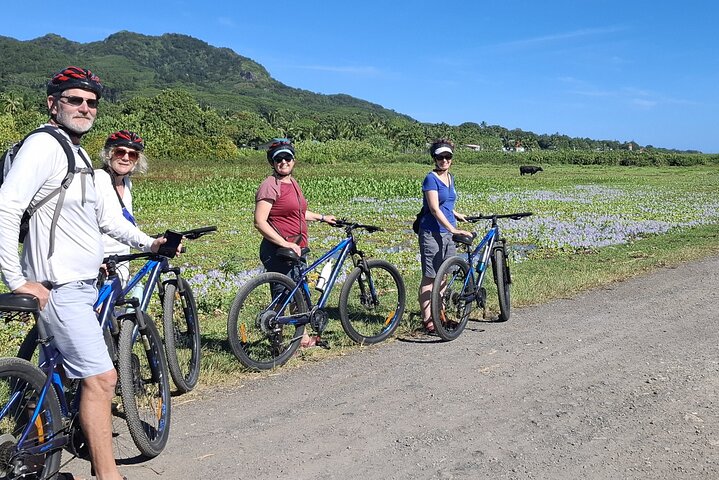 'Discover' Rarotonga Cycling Tour with Lunch
