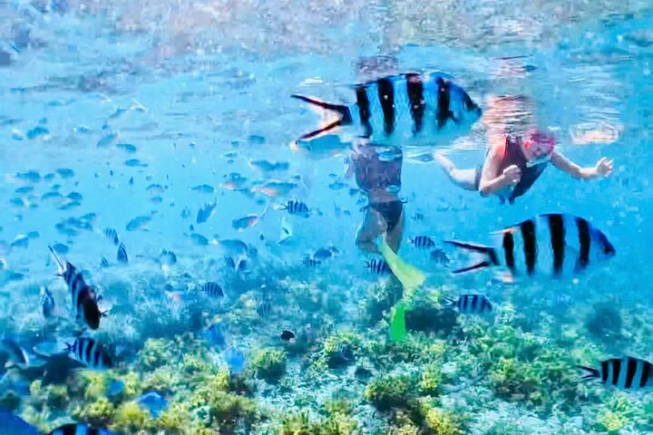 Private Snorkeling Tour in Okinawa