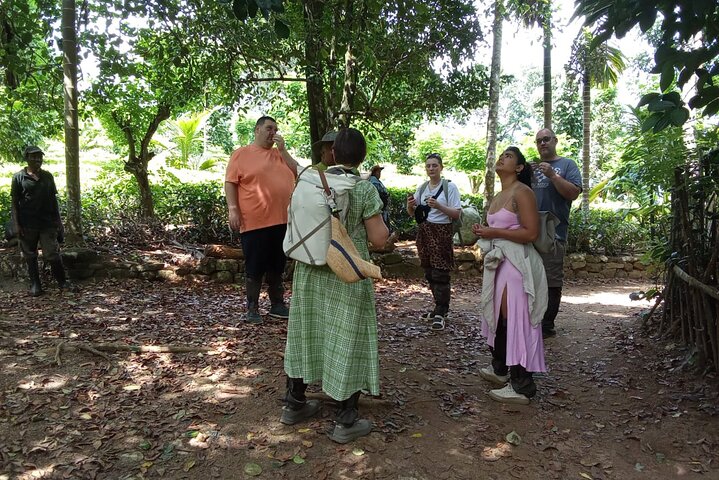 Tea Plantation Tour Village Experience & Cooking Class and Lunch