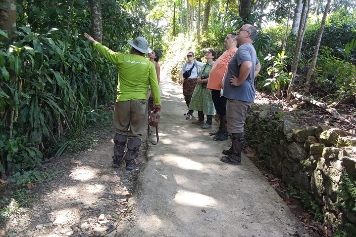 Tea Plantation Tour Village Experience & Cooking Class and Lunch