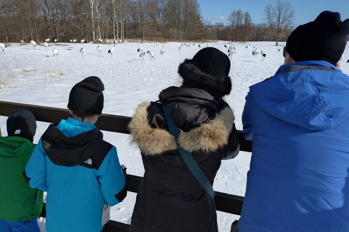 Private Tour with Kushiro Marsh, Tancho, and Local Market