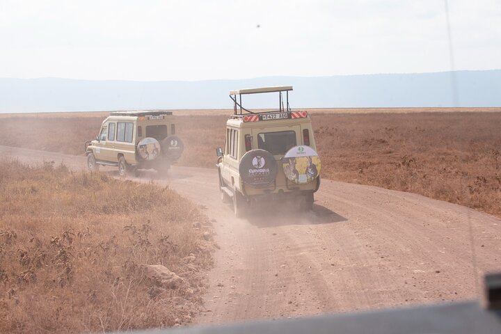 Ngorongoro Crater Day Trip